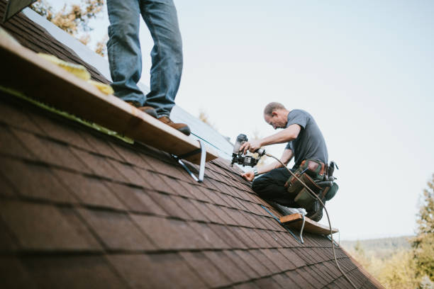 Best Emergency Roof Repair  in Wilsonville, AL